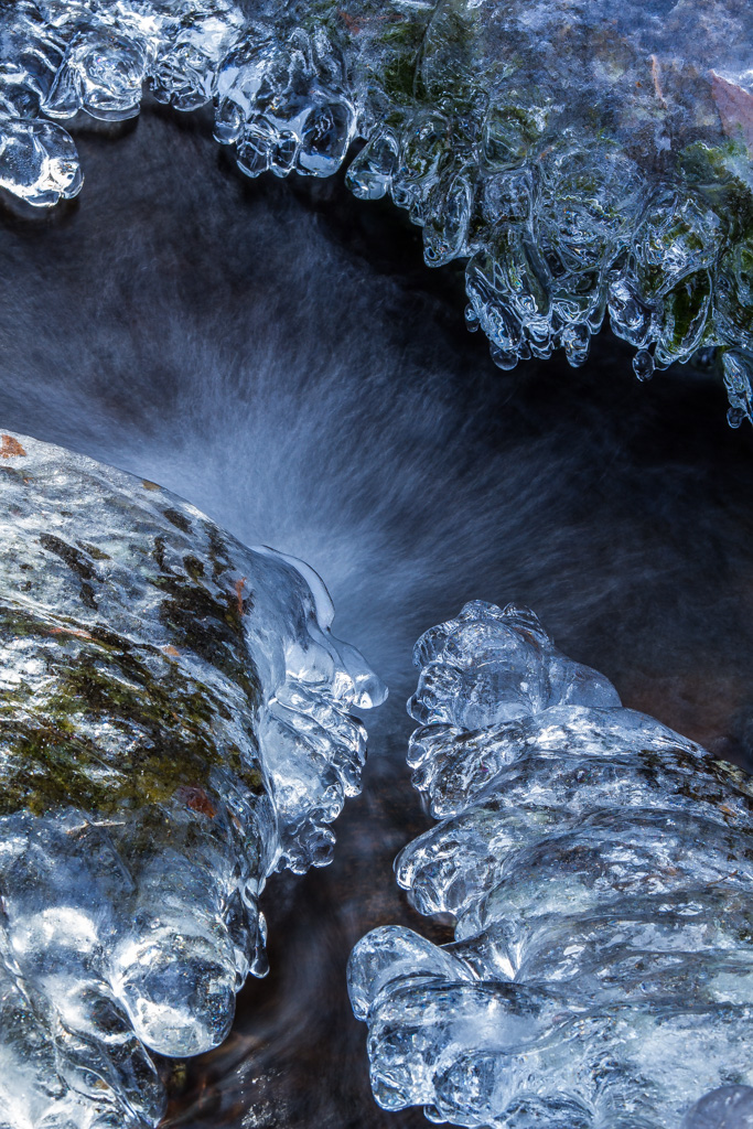 3º puesto Foto Mes Febrero 2026: Julián López "Formas"