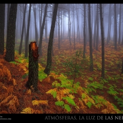 © Juan Pavón