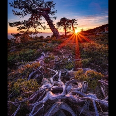 © Enrique Fernández