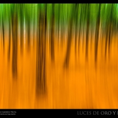 © Alejandro Garrido