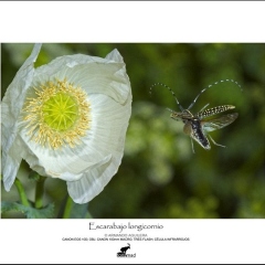 expo05-09
