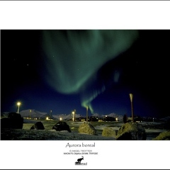 expo05-24