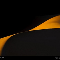 expo-17-02 expo-17-02