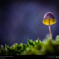 expo-17-03 expo-17-03