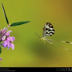 expo-17-04 expo-17-04