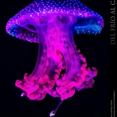 expo-17-05 expo-17-05