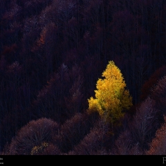 expo-17-06 expo-17-06