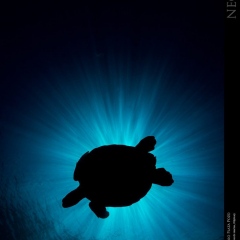 expo-17-07 expo-17-07