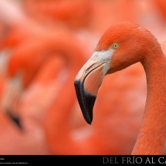 expo-17-09 expo-17-09