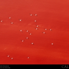 expo-17-10 expo-17-10