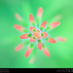 expo-17-11 expo-17-11