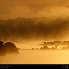 expo-17-13 expo-17-13