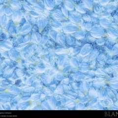 expo-17-14 expo-17-14