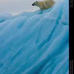 expo-17-15 expo-17-15