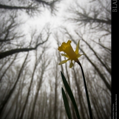 expo-17-17 expo-17-17