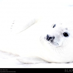 expo-17-18 expo-17-18