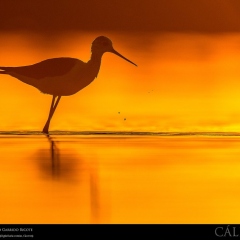 expo-17-24 expo-17-24