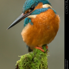 expo-17-25 expo-17-25