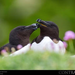 expo-17-26 expo-17-26