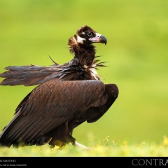 expo-17-28 expo-17-28