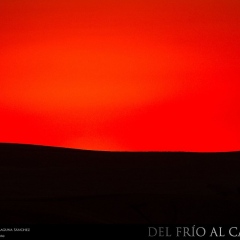 expo-17-29 expo-17-29