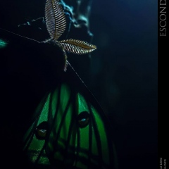 expo19-09