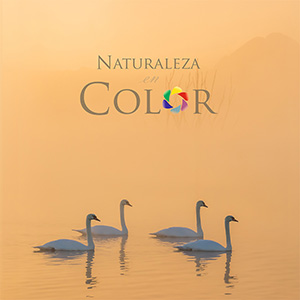 Naturaleza en Color