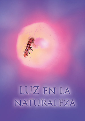 Exposición Fonamad 2020 - LUZ en la Naturaleza