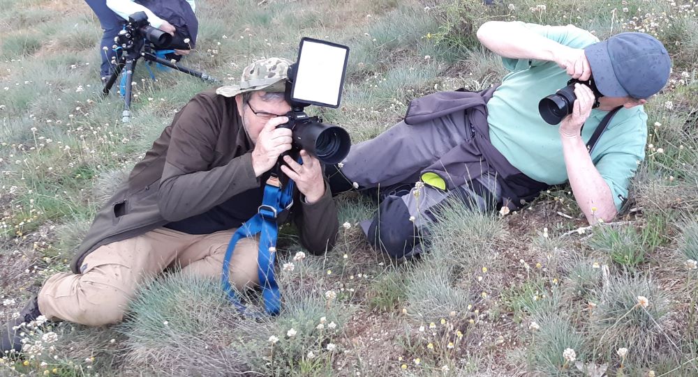 Dos fotógrafos enfocando al mismo objetivo sobre una planta
