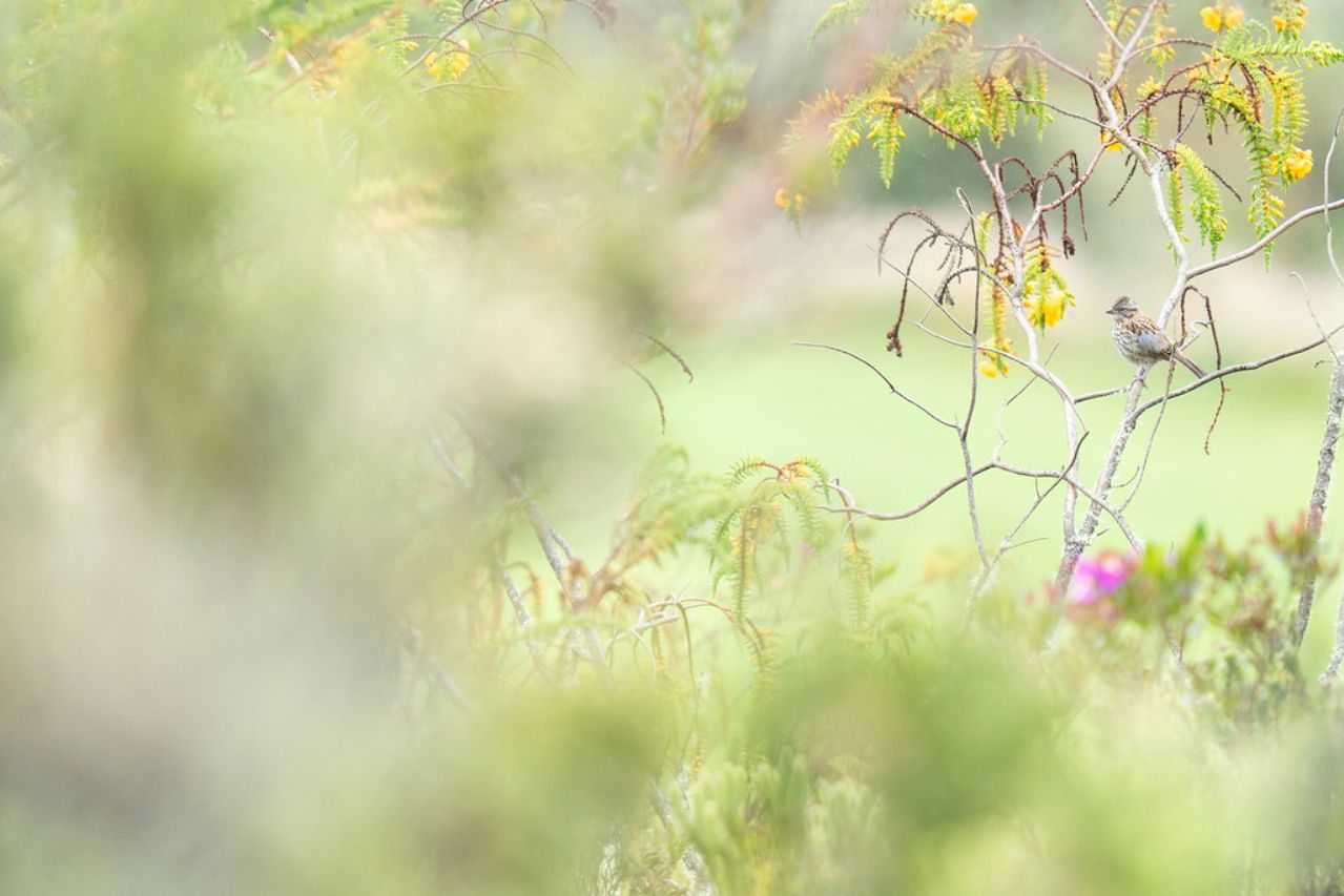 Daniel Trespalacio_01 ©Daniel Trespalacio