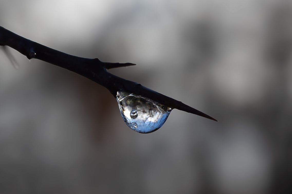 Fco Javier Bru_03 ©Francisco Javier Bru