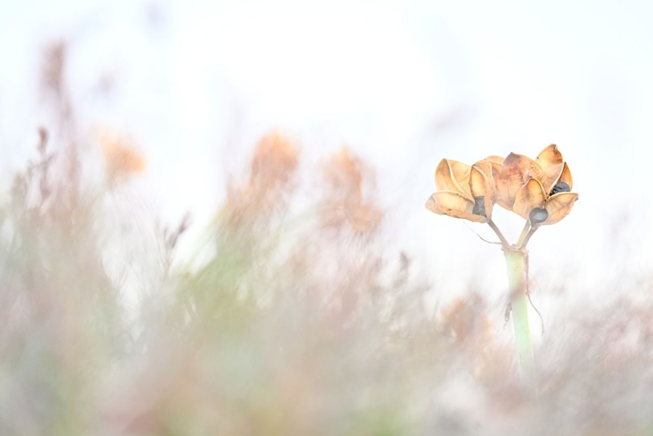 Javier Herranz_01 ©Javier Herranz