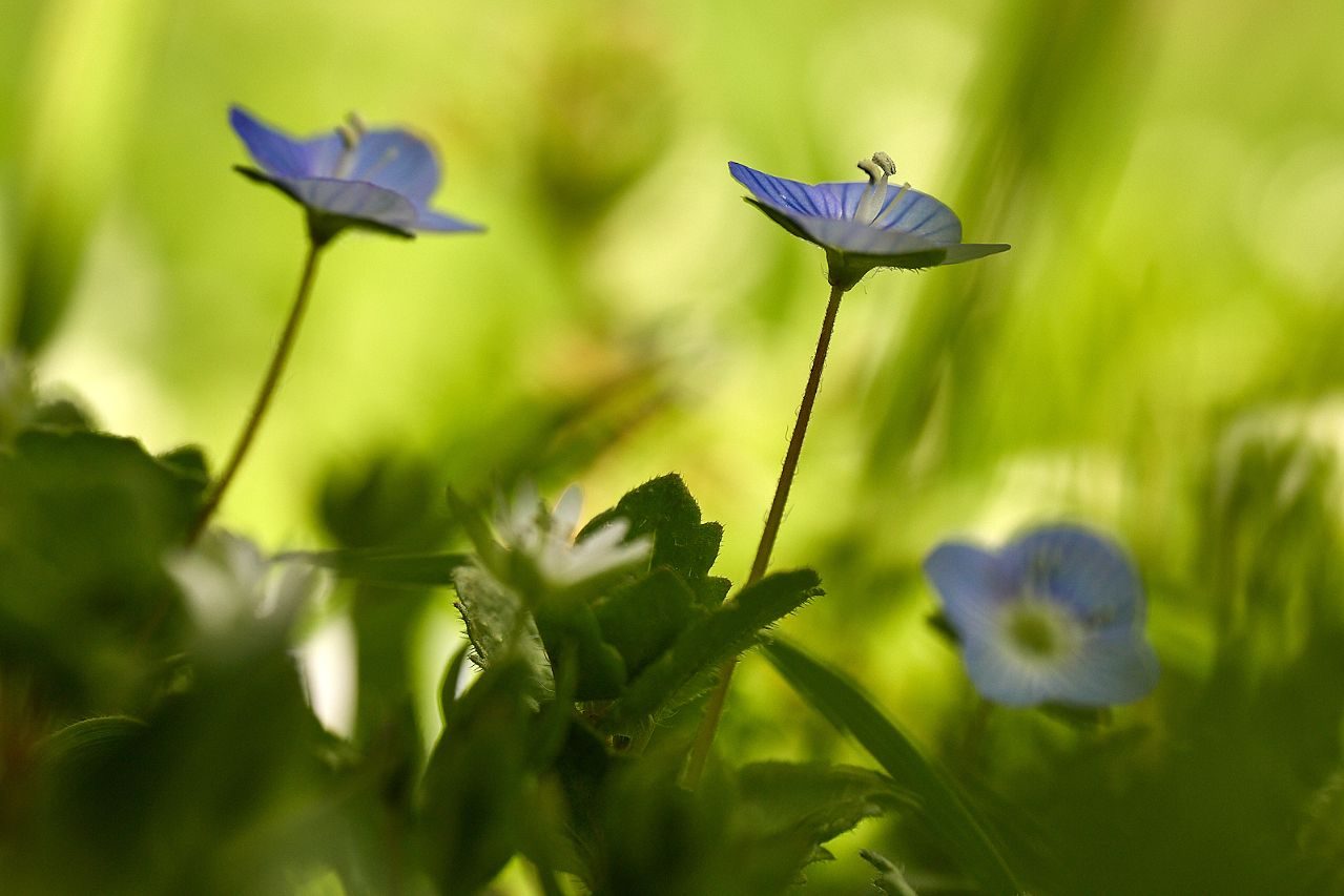 Javier Peña_06 ©Javier Peña