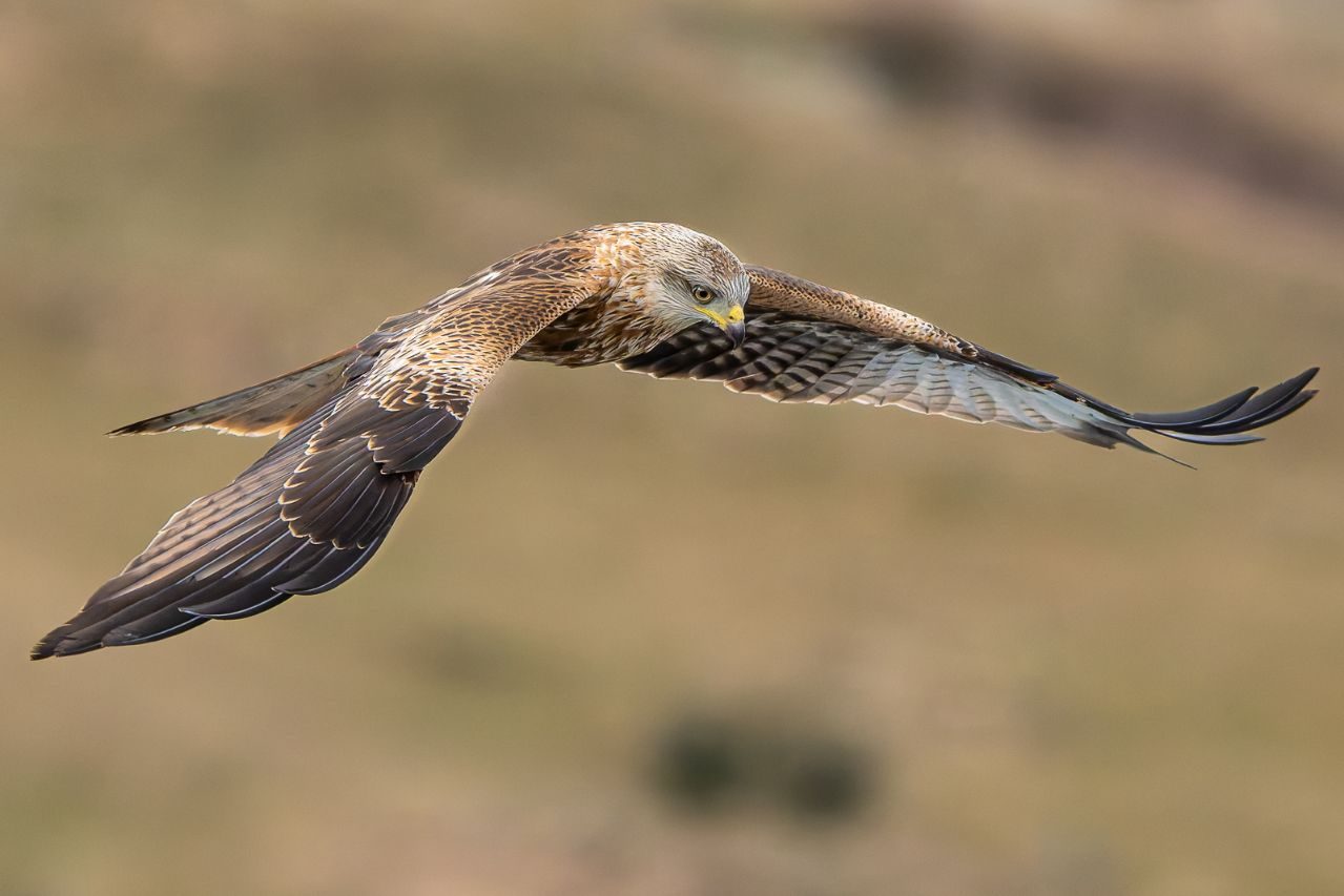 Jesús Cadenas_01 «Milano real» ©Jesús Cadenas