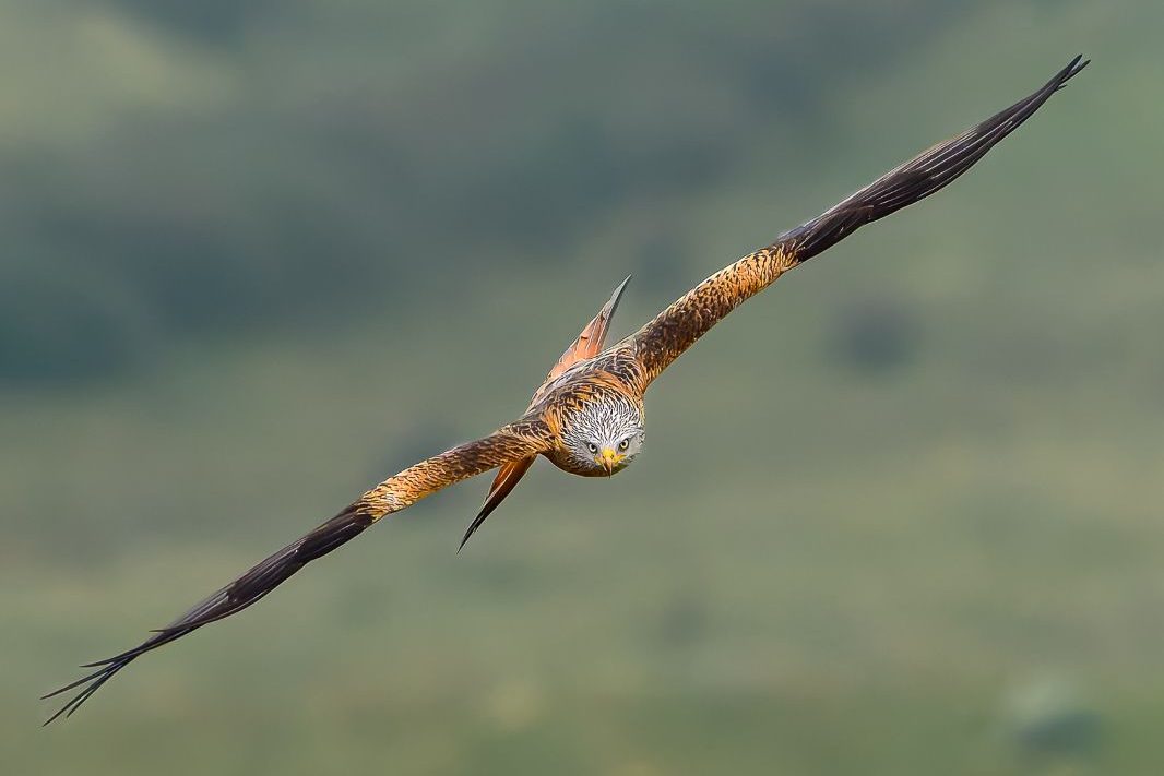 Jesús Cadenas_02 «Milano real» ©Jesús Cadenas