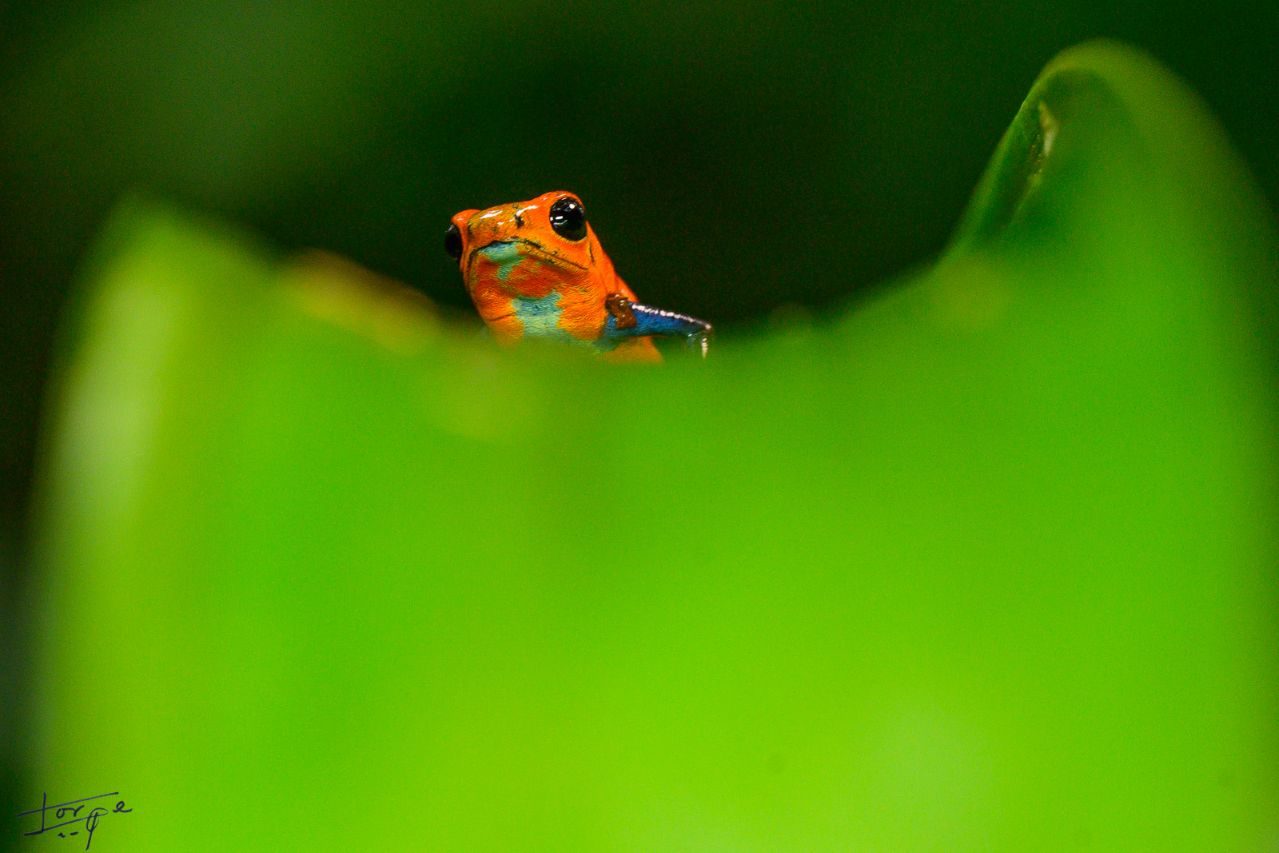 Jorge Martín_02 ©Jorge Martín