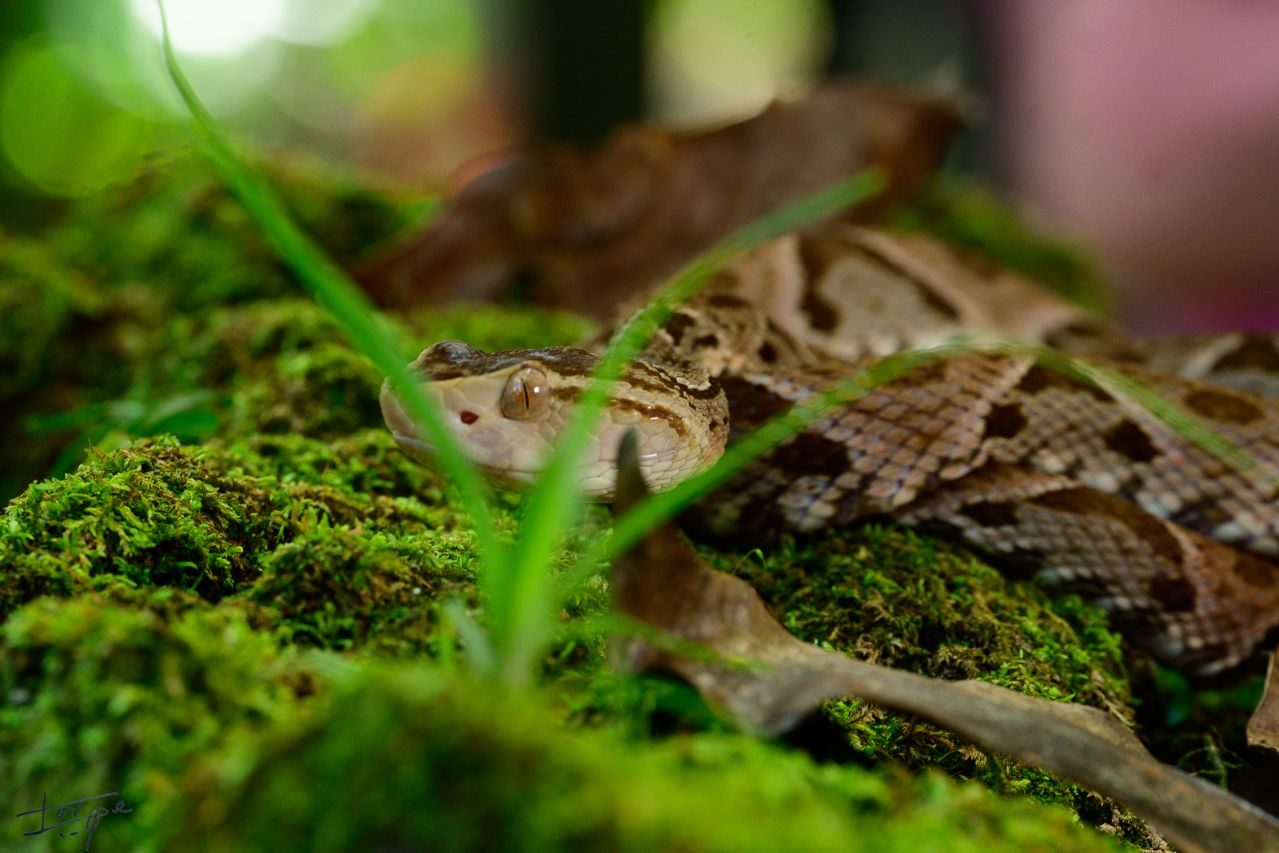 Jorge Martín_04 ©Jorge Martín