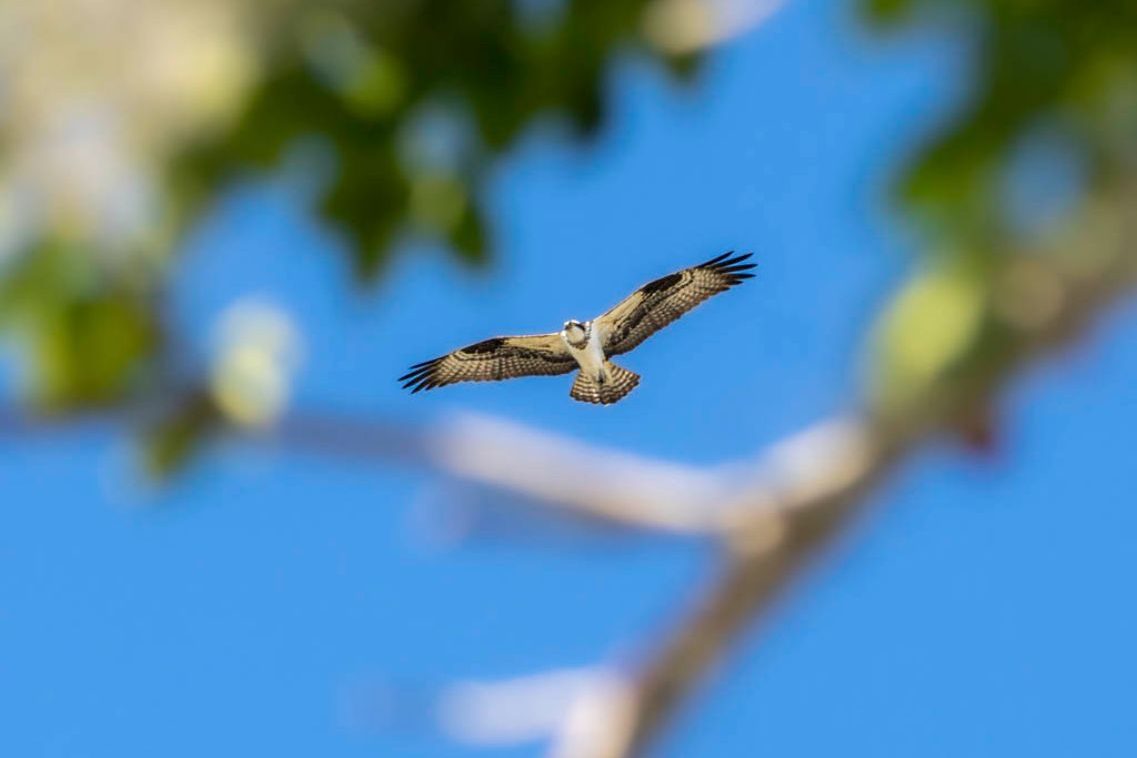 José Miguel Martínez_03 ©José Miguel Martínez