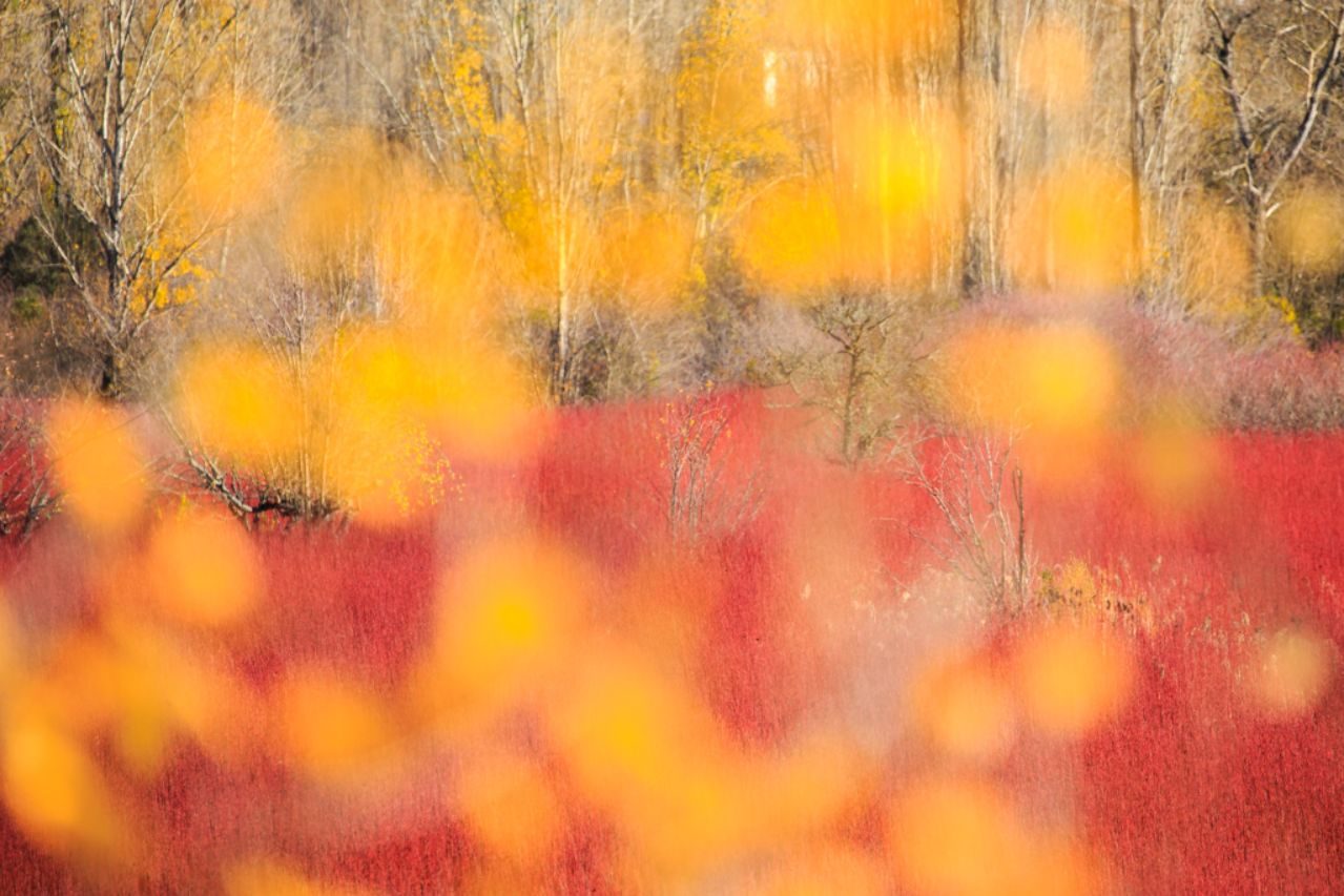 Julián López_02 ©Julián López