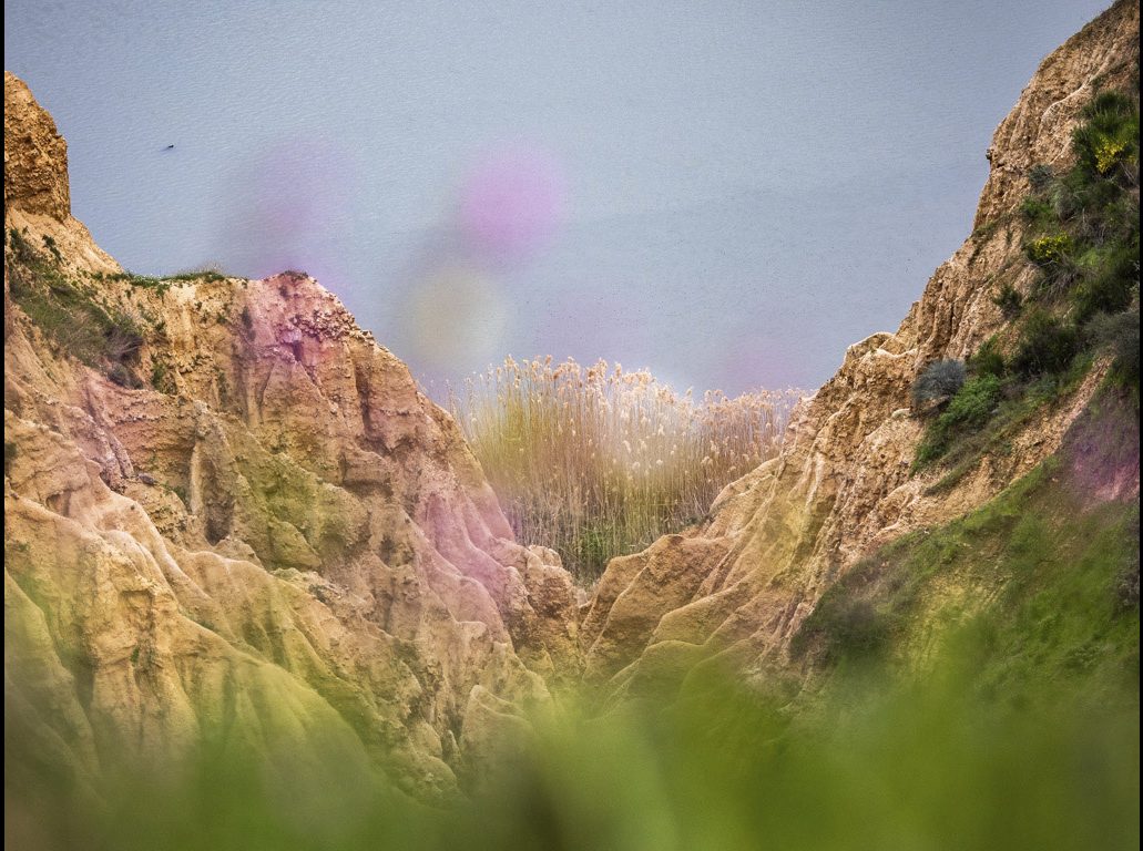 ©Julián López