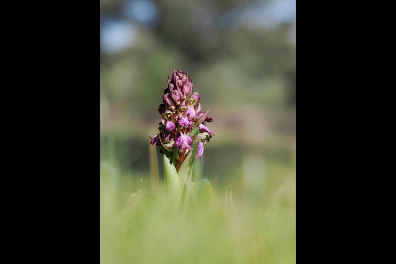 Mar Sanz_02 ©Mar Sanz