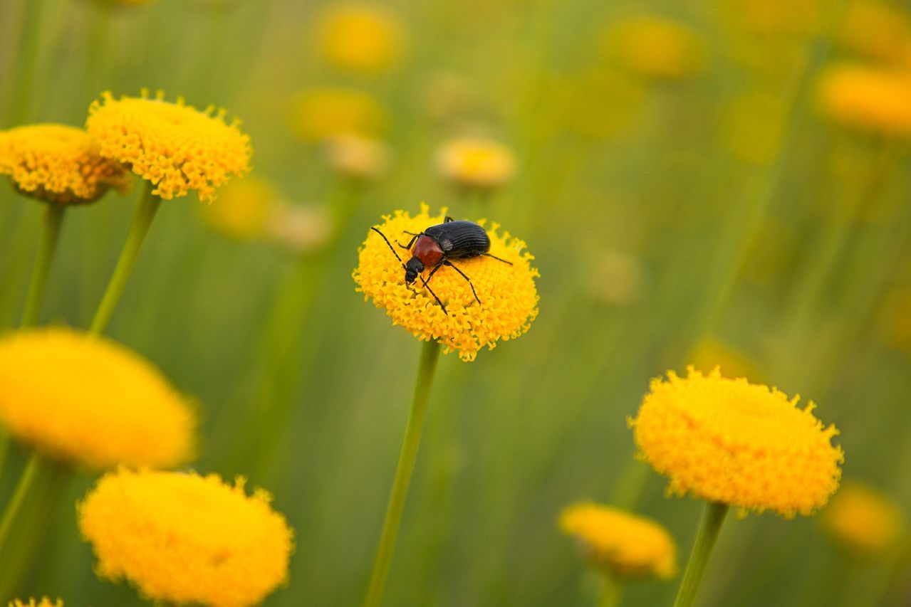 Merce Almoguera_03 ©Merce Almoguera