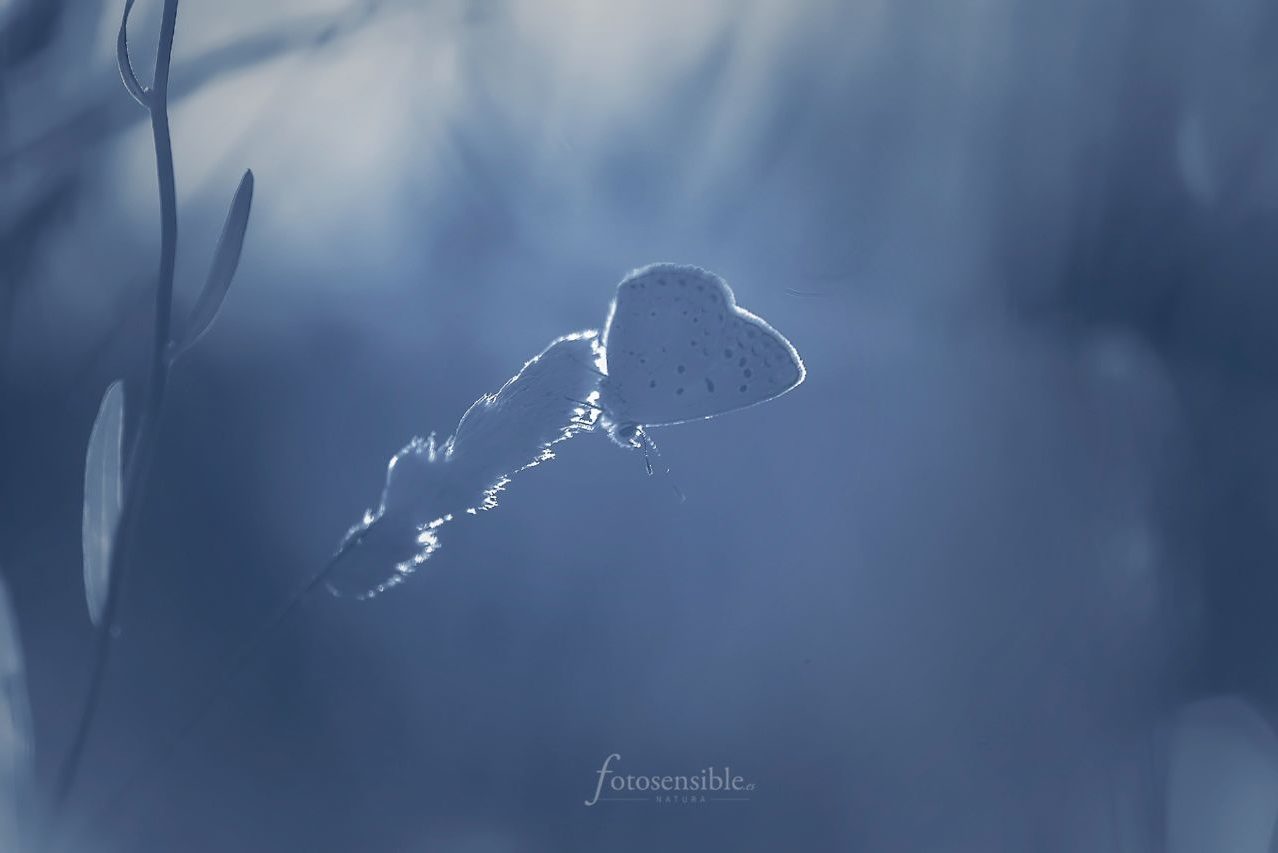 Ramiro Díaz_01_1 ©Ramiro Díaz