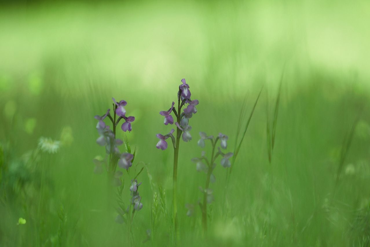 Raquel Correa ©Raquel Correa