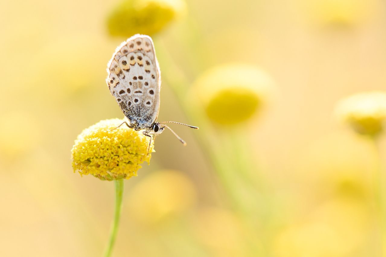 Raquel Correa_02 ©Raquel Correa