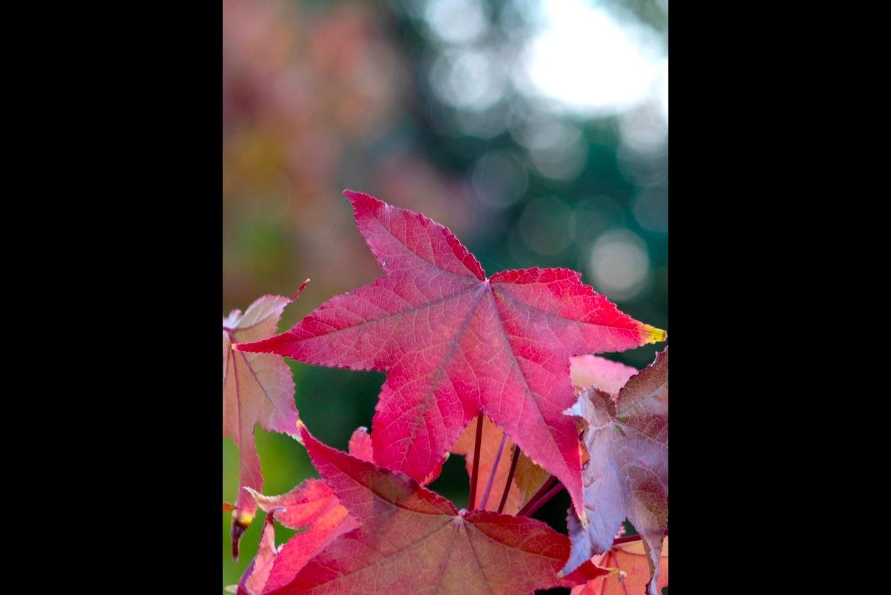 Sara Sánchez_03 ©Sara Sánchez