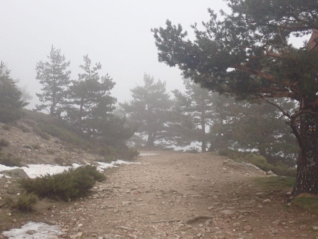Fotos de Ania en una salida por Navacerrada con los alumnos del IES Jaime Ferrán, organizada por la Fundación Desea Fotos de Ania en una salida por Navacerrada con los alumnos del IES Jaime Ferrán, organizada por la Fundación Desea