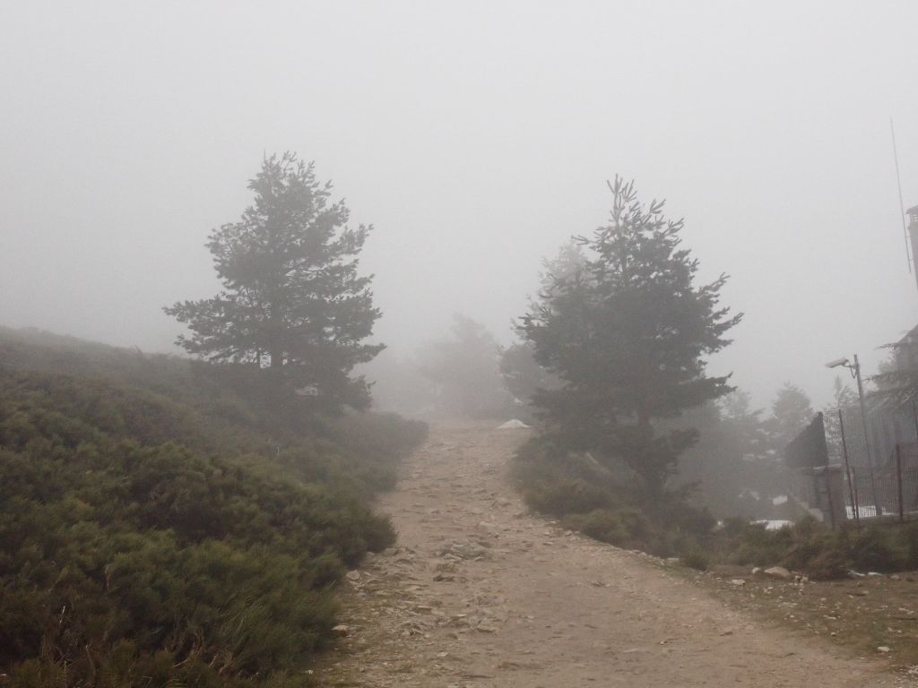 Fotos de Ania en una salida por Navacerrada con los alumnos del IES Jaime Ferrán, organizada por la Fundación Desea Fotos de Ania en una salida por Navacerrada con los alumnos del IES Jaime Ferrán, organizada por la Fundación Desea