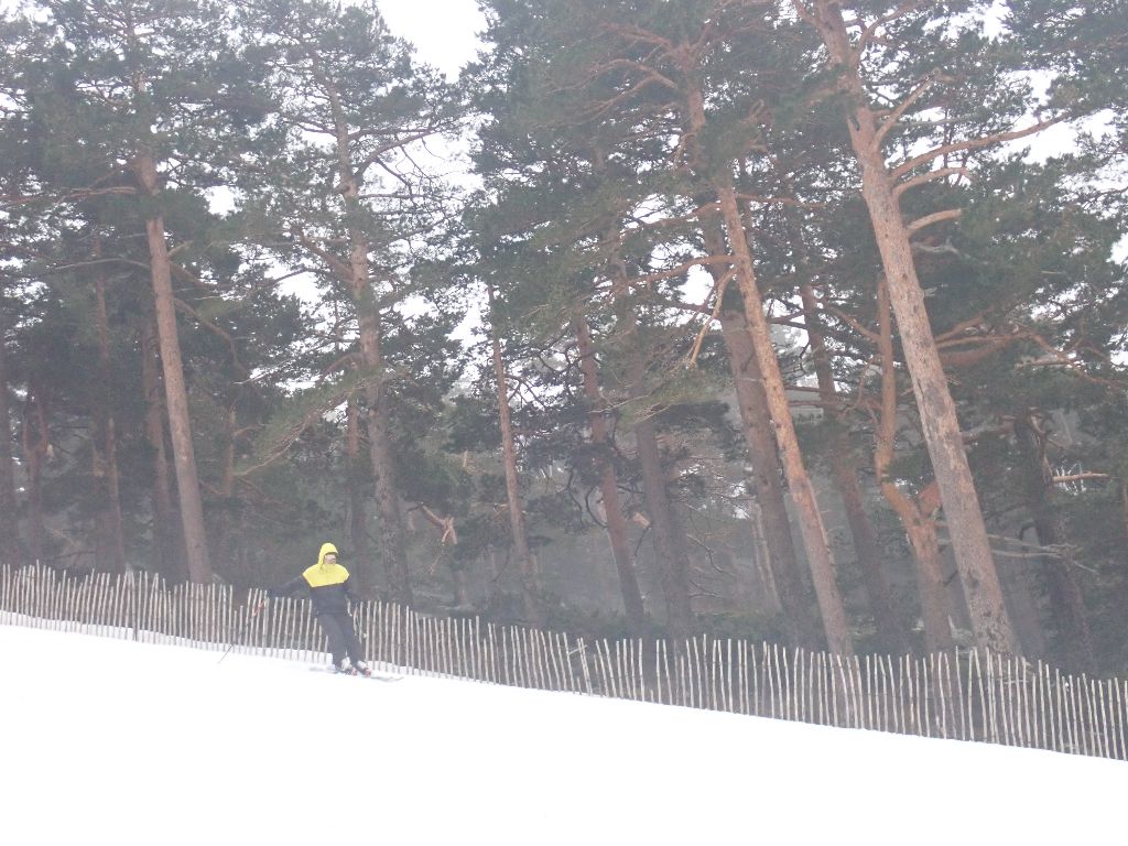Fotos de Ania en una salida por Navacerrada con los alumnos del IES Jaime Ferrán, organizada por la Fundación Desea Fotos de Ania en una salida por Navacerrada con los alumnos del IES Jaime Ferrán, organizada por la Fundación Desea