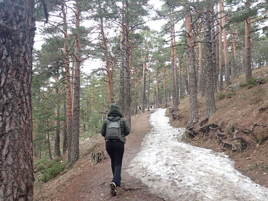 Fotos de Ania en una salida por Navacerrada con los alumnos del IES Jaime Ferrán, organizada por la Fundación Desea Fotos de Ania en una salida por Navacerrada con los alumnos del IES Jaime Ferrán, organizada por la Fundación Desea
